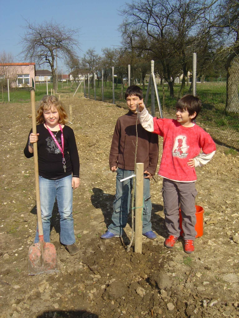 ecole-verger-creation07