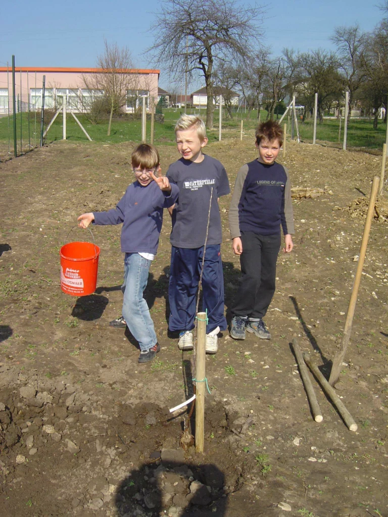 ecole-verger-creation08