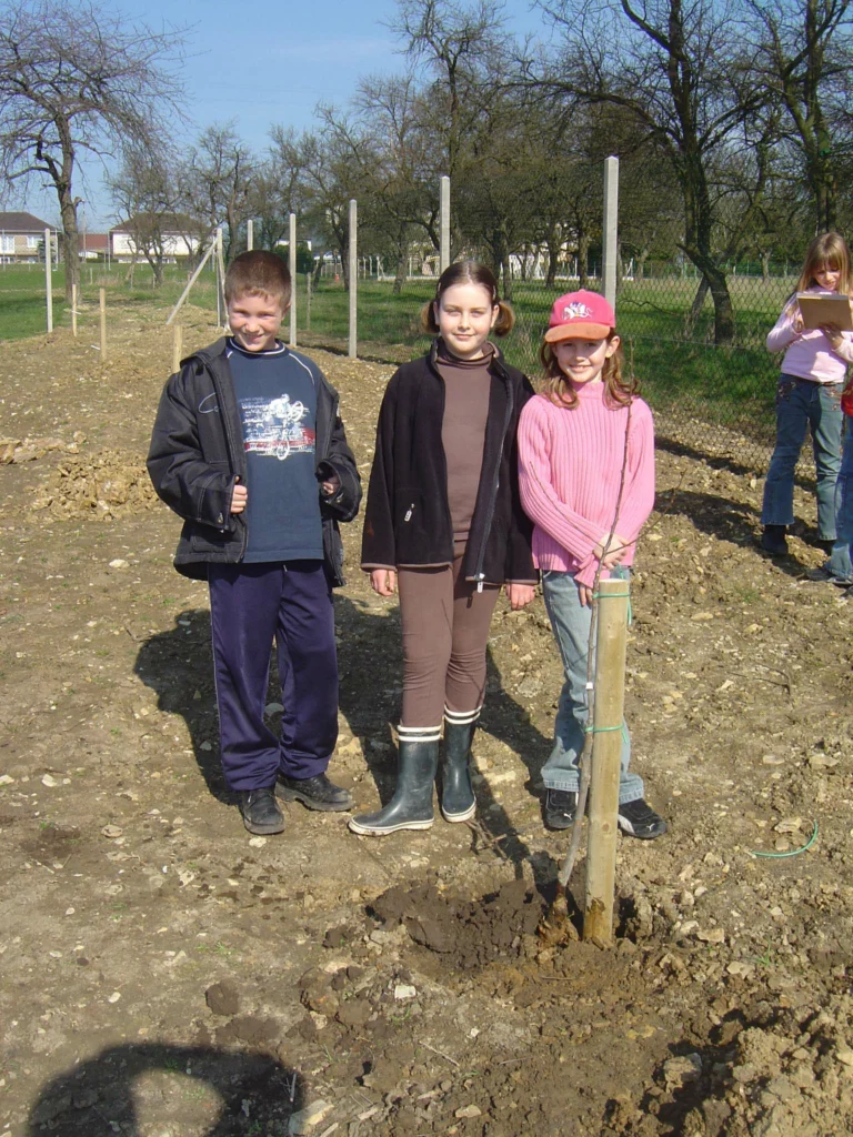 ecole-verger-creation09