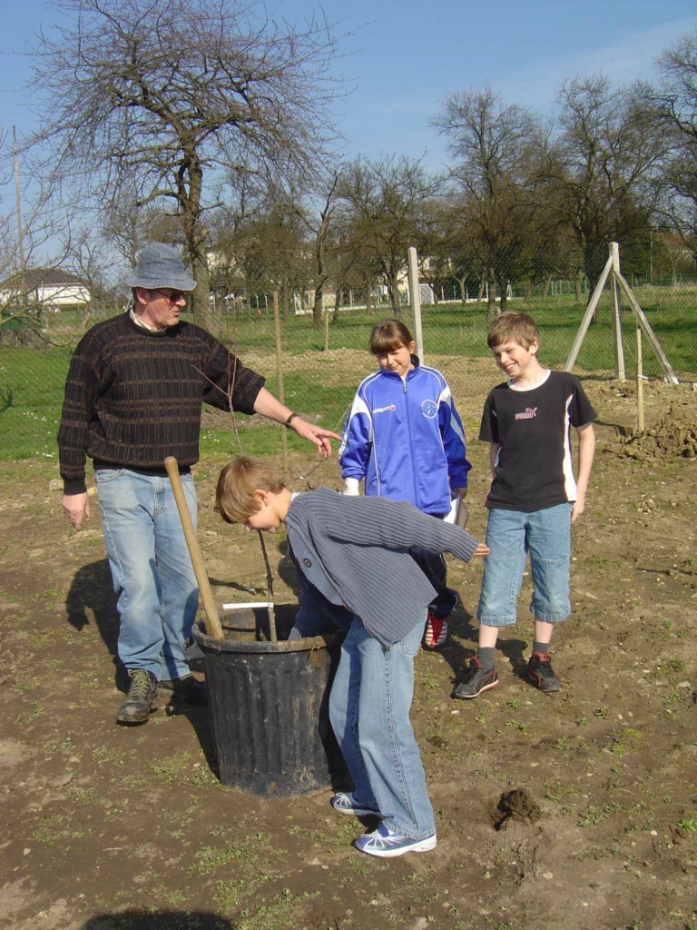 ecole-verger-creation13