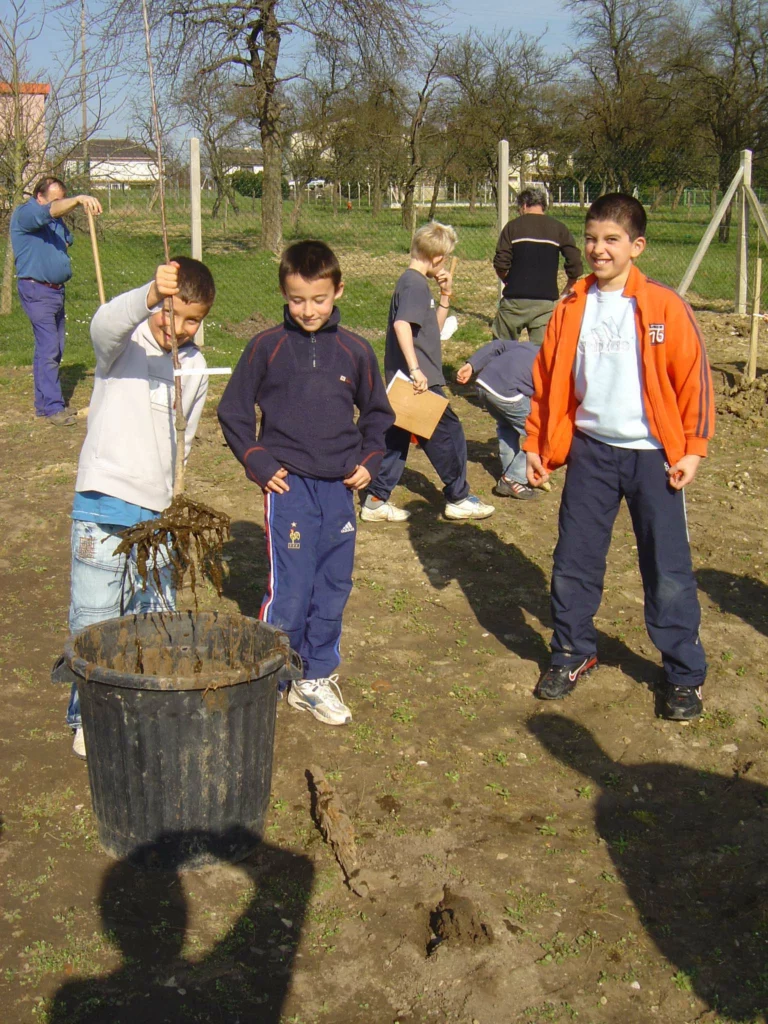 ecole-verger-creation14