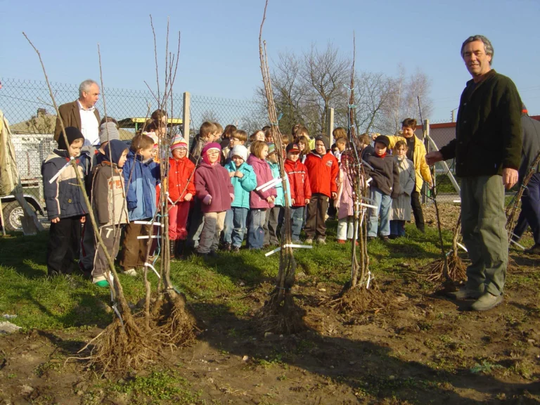 ecole-verger-plantation02