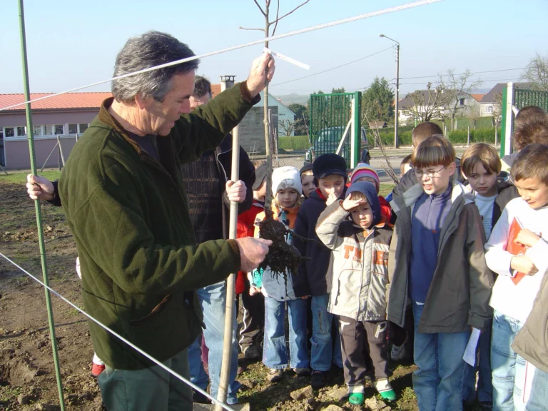 ecole-verger-plantation03