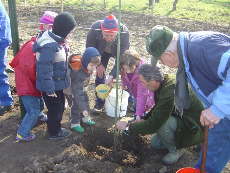 ecole-verger-plantation05
