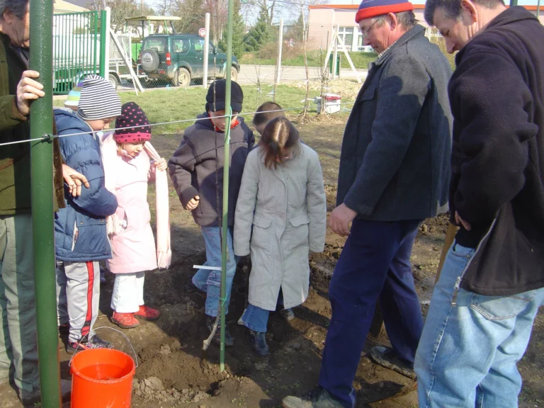 ecole-verger-plantation07
