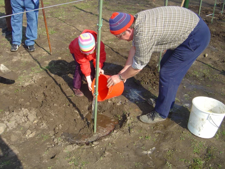 ecole-verger-plantation10