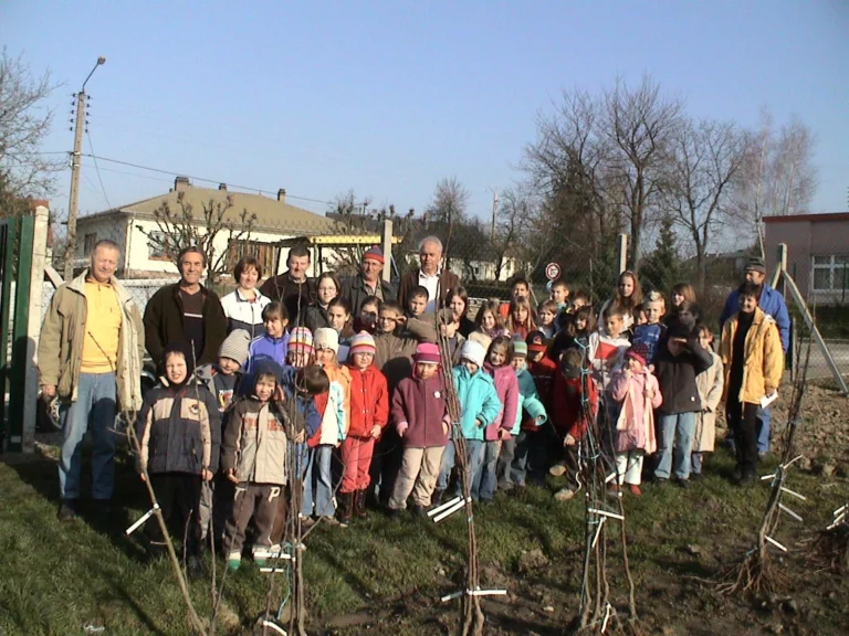 ecole-verger-plantation13
