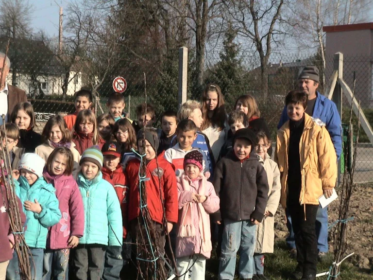 ecole-verger-plantation14