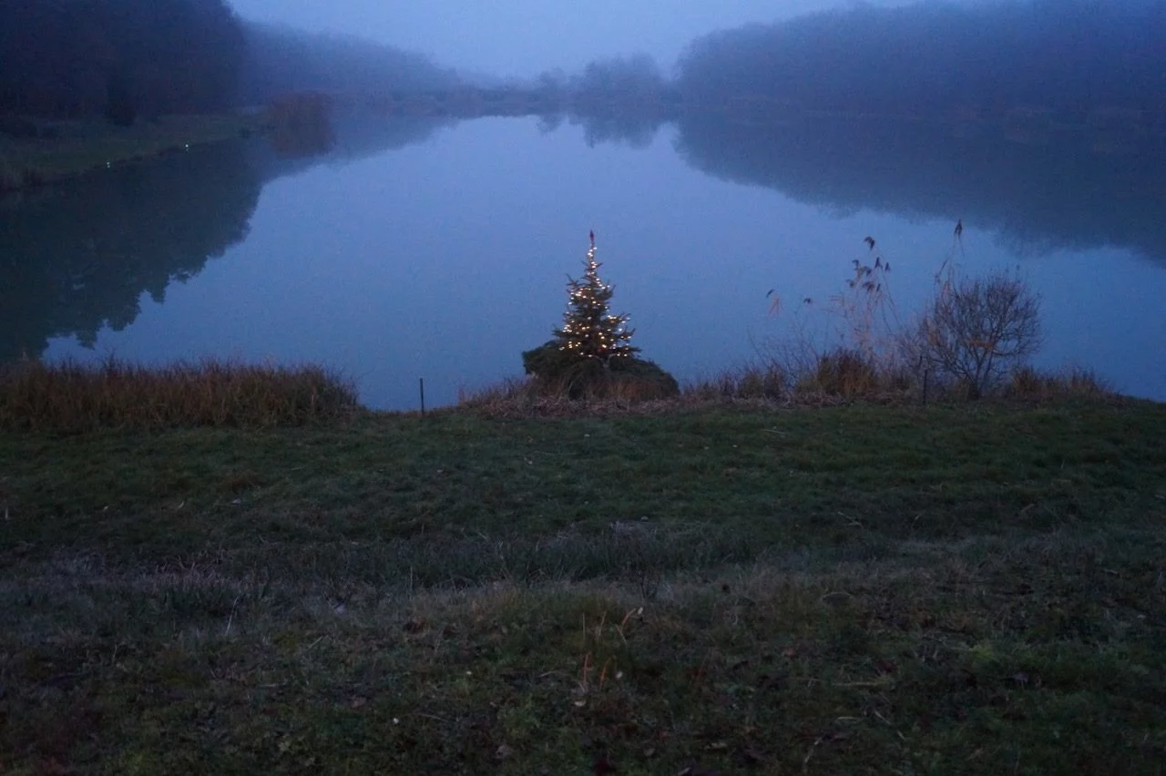 18 décembre 2016 : Christkindl et un sapin flottant enchantent l’étang