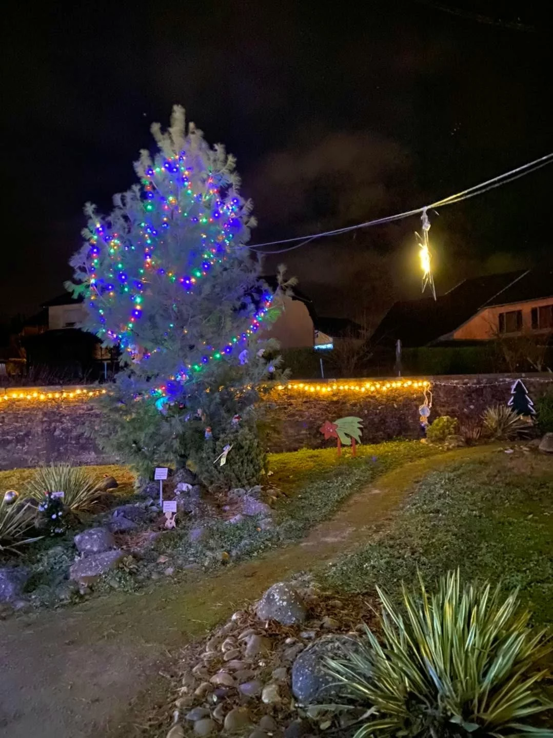 3 décembre 2021 : Betty illumine le jardin du souvenir pour Noël
